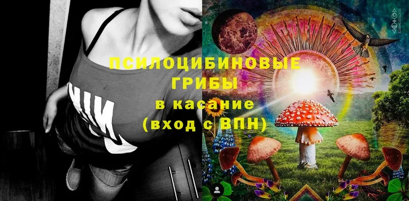 Псилоцибиновые грибы Magic Shrooms  Верхняя Пышма 